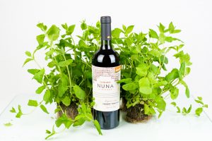 Chakana Nuna ja minttu