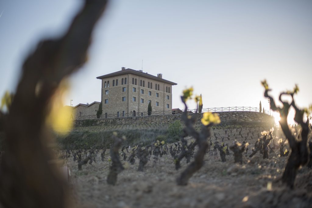 Bodega-Winery close up