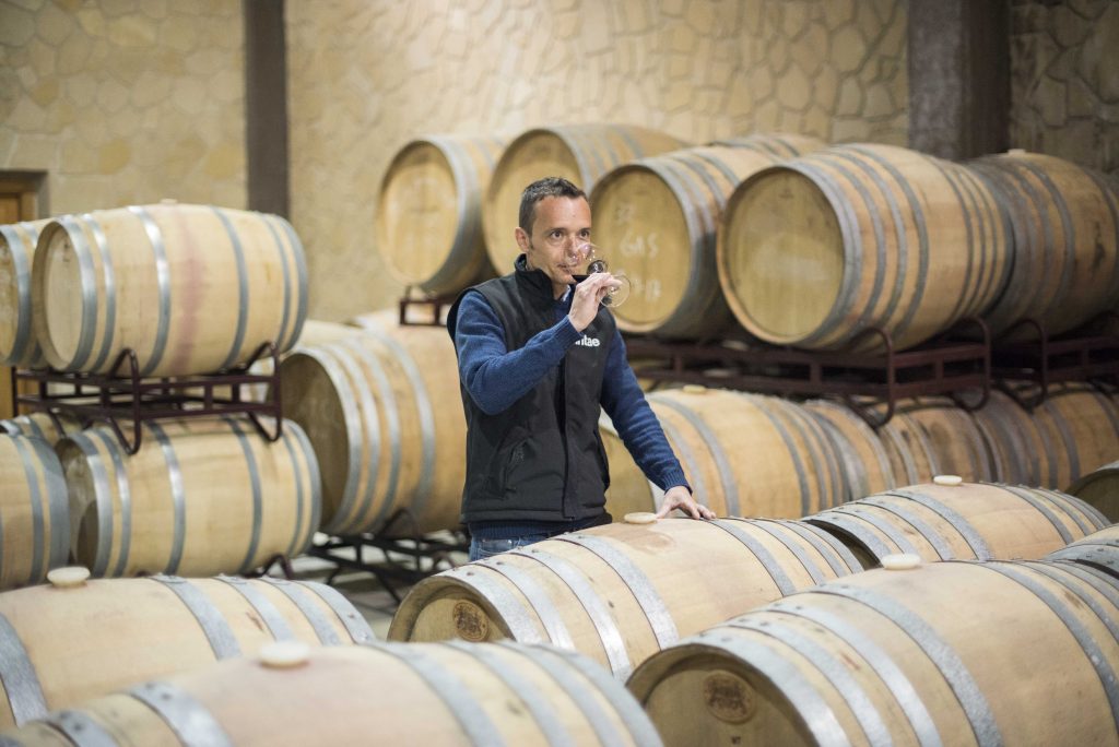 Bodega-Winery tasting from casks