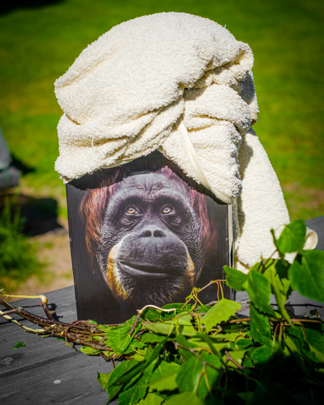 Monkey Wine
