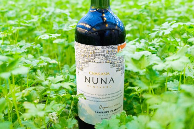 chakana cabernet franc
