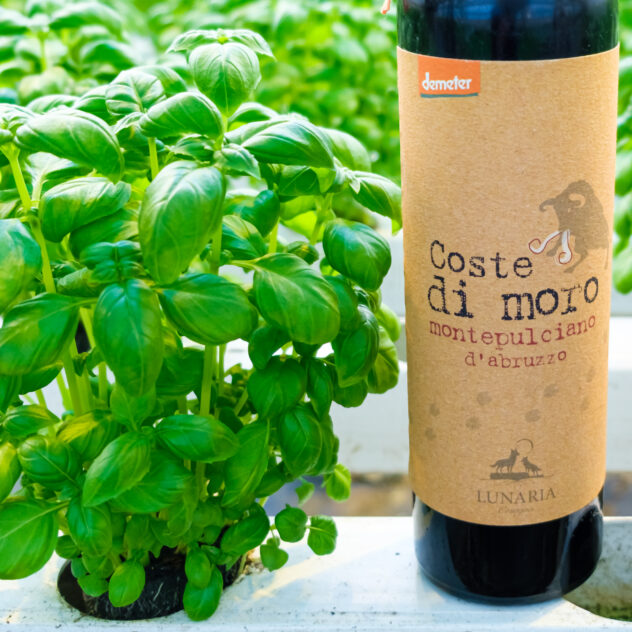 coste di moro montepulciano and basil
