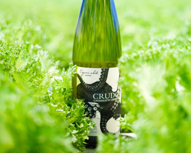 crudo CZ and salad